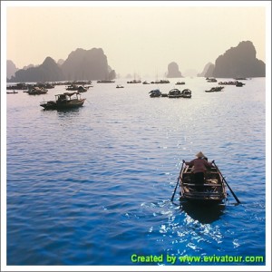 Halong Bay Tours 1 Day
